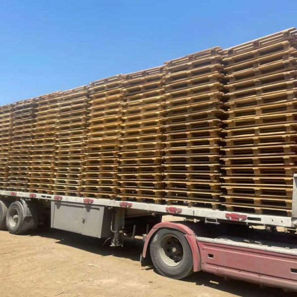 بهترین تامین کنندگان پالت چوبی یورو در ایران و نکات خرید مطمئن